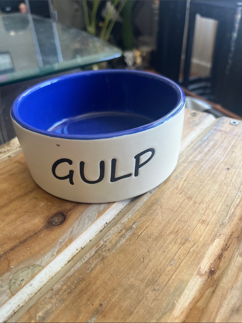 GULP Ceramic Pet Bowl - Blue Interior